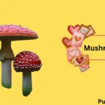 Let’s Spore Some Laughter: 250+ Mushroom Puns That Will Leave You in Awe-ful