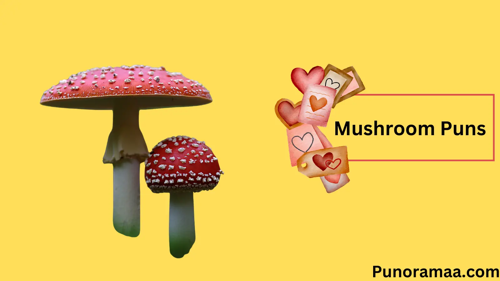 Mushroom Puns