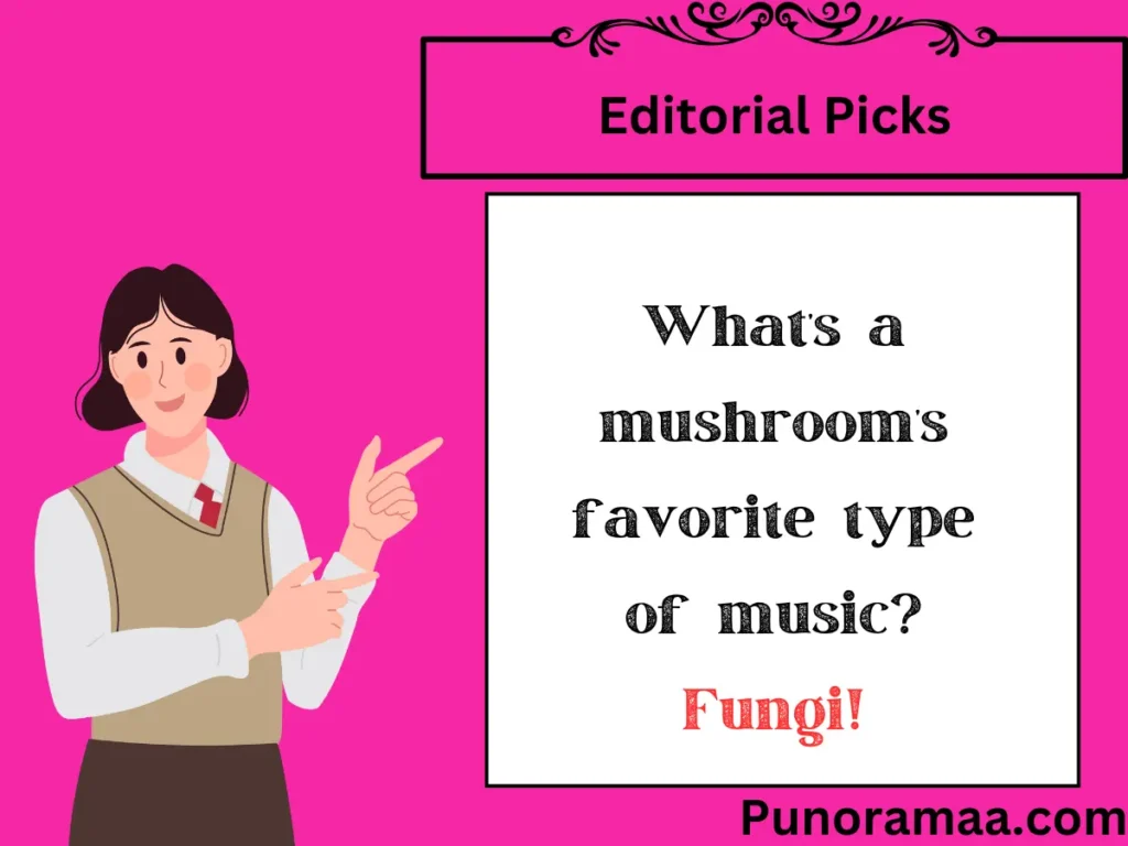 Editorial Picks