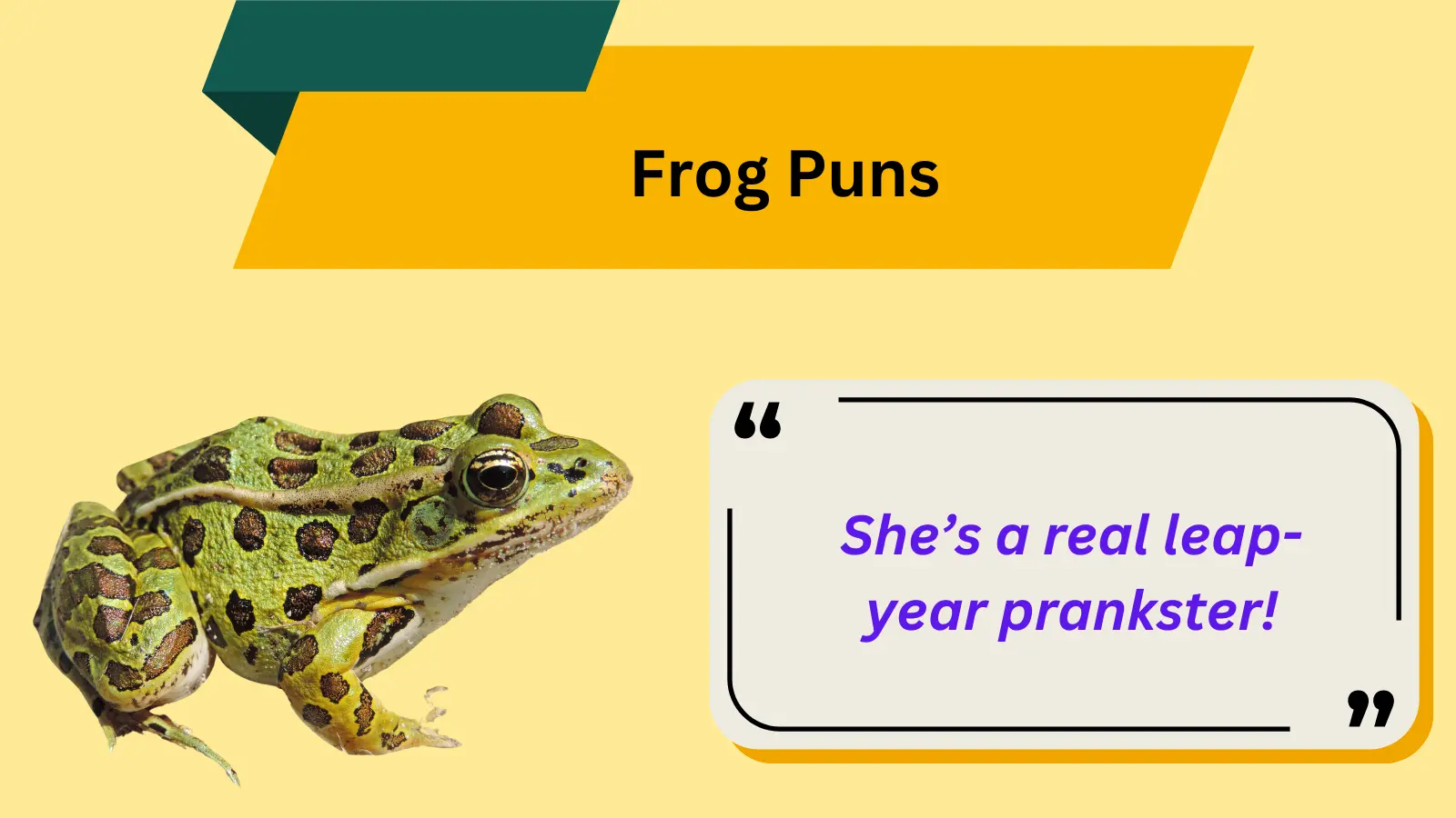 Frog Puns