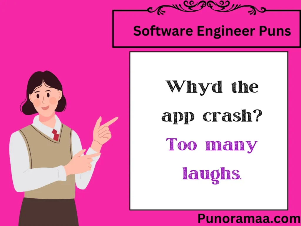 Software Engineer Puns