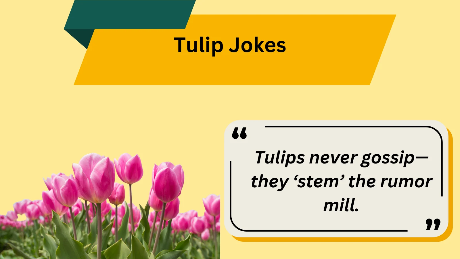 20+ Hilarious Tulip Jokes to Bloom Your Day