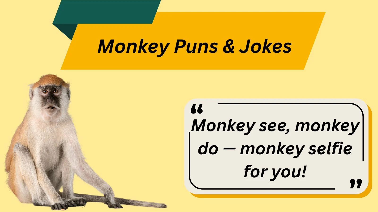 Monkey Puns & Jokes