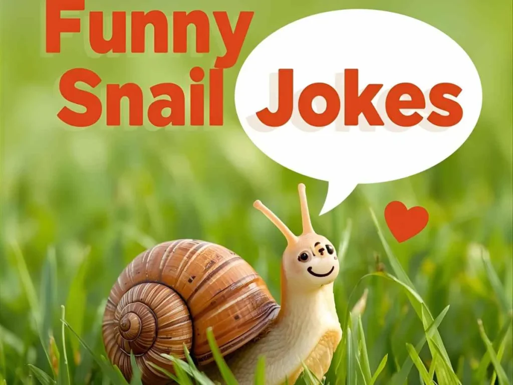 Funny Snail Jokes One-Liners