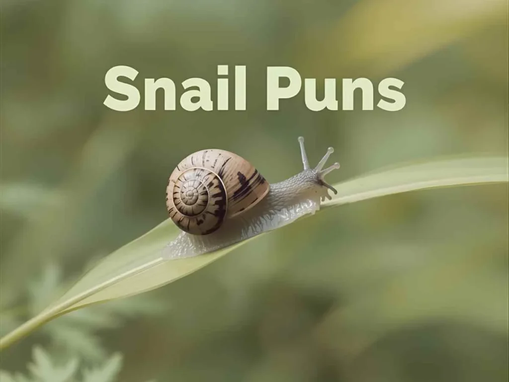 Snail Puns Instagram Edition